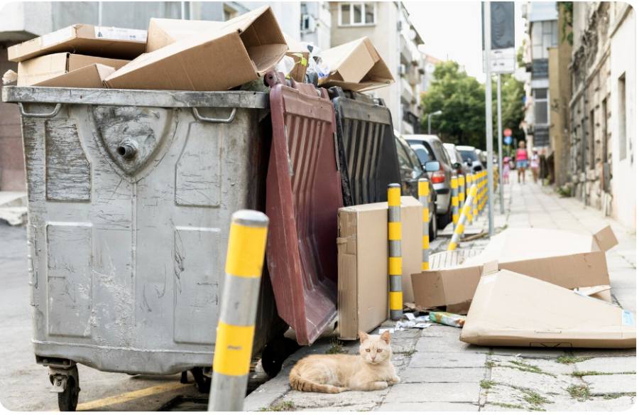 Managing On-Site Debris and Heavy Material Disposal with Construction Dumpster Rental Near Me